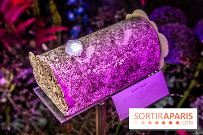 Bûches de Noël de Pierre Hermé 2021 et galettes 2022