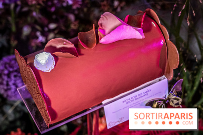 Bûches de Noël de Pierre Hermé 2021 et galettes 2022