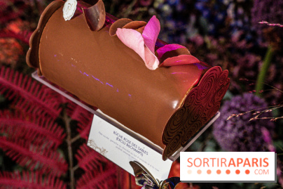 Bûches de Noël de Pierre Hermé 2021 et galettes 2022