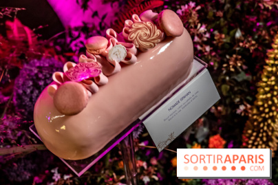 Bûches de Noël de Pierre Hermé 2021 et galettes 2022