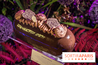 Bûches de Noël de Pierre Hermé 2021 et galettes 2022