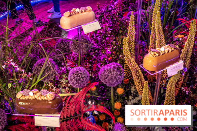 Bûches de Noël de Pierre Hermé 2021 et galettes 2022