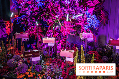 Bûches de Noël de Pierre Hermé 2021 et galettes 2022