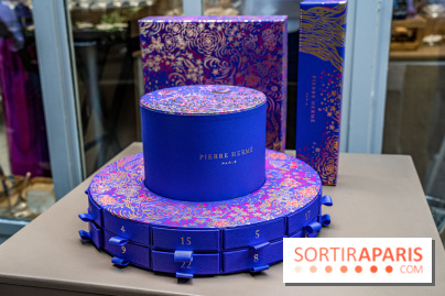 Bûches de Noël de Pierre Hermé 2021 et galettes 2022