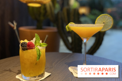 Oceania et sa terrasse en mode jardin méditerranéen à Paris