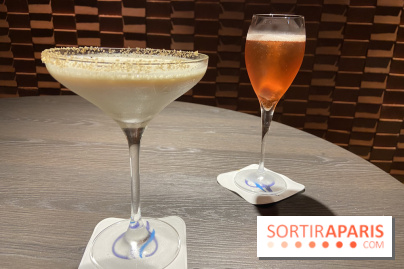 Oceania et sa terrasse en mode jardin méditerranéen à Paris