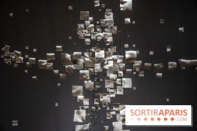 Exposition Aux frontières de l'humain au Musée de l'Homme