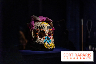 Exposition Aux frontières de l'humain au Musée de l'Homme