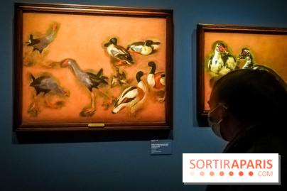 Les animaux du Roi, une exposition qui a du chien au Château de Versailles - nos photos