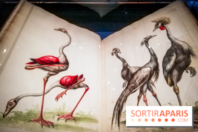 Les animaux du Roi, une exposition qui a du chien au Château de Versailles - nos photos