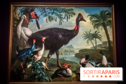 Les animaux du Roi, une exposition qui a du chien au Château de Versailles - nos photos