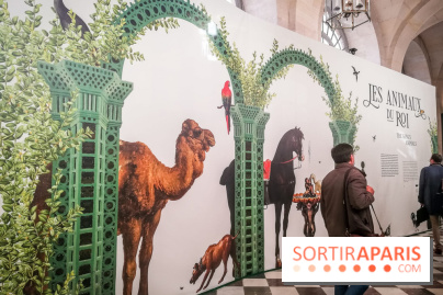 Les animaux du Roi, une exposition qui a du chien au Château de Versailles - nos photos