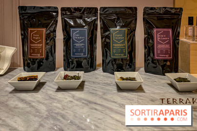 Terrake, le spa de l'hôtel Bowmann pour un moment de détente à deux pas des Champs-Elysées