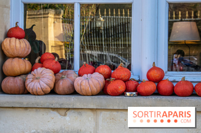 citrouille halloween légumes visuel actualités