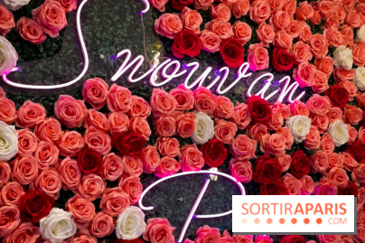 Snowvan, le spot aux bubble tea et glaces insolites