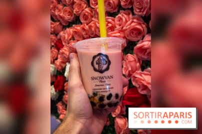 Snowvan, le spot aux bubble tea et glaces insolites