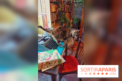 Shakespeare and Company, le café-librairie le plus anglais de Paris