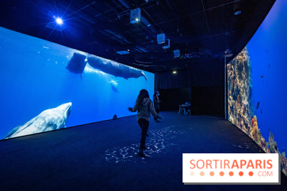 Photos : Odyssée sensorielle, l’expo immersive au Museum 