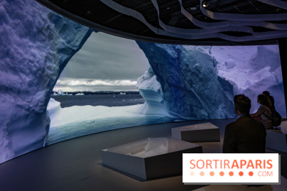 Photos : Odyssée sensorielle, l’expo immersive au Museum 