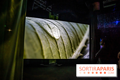 Photos : Odyssée sensorielle, l’expo immersive au Museum 
