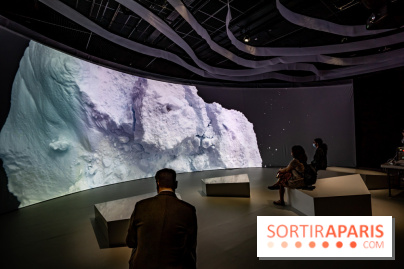 Photos : Odyssée sensorielle, l’expo immersive au Museum 