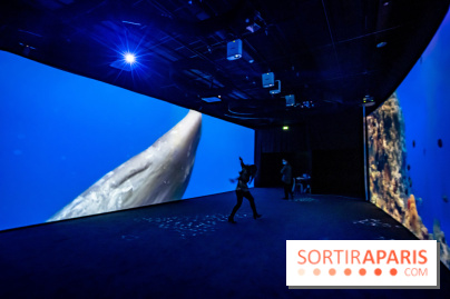 Photos : Odyssée sensorielle, l’expo immersive au Museum 