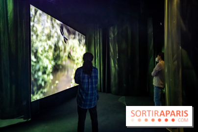 Photos : Odyssée sensorielle, l’expo immersive au Museum 