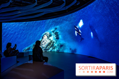Photos : Odyssée sensorielle, l’expo immersive au Museum 