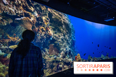 Photos : Odyssée sensorielle, l’expo immersive au Museum 