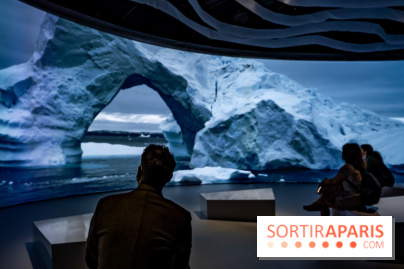 Photos : Odyssée sensorielle, l’expo immersive au Museum 