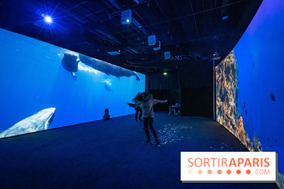 Photos : Odyssée sensorielle, l’expo immersive au Museum 