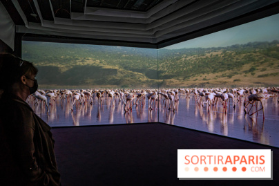 Photos : Odyssée sensorielle, l’expo immersive au Museum 