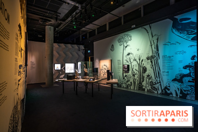 Photos : Odyssée sensorielle, l’expo immersive au Museum 