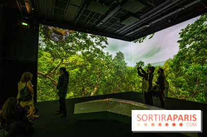 Photos : Odyssée sensorielle, l’expo immersive au Museum 