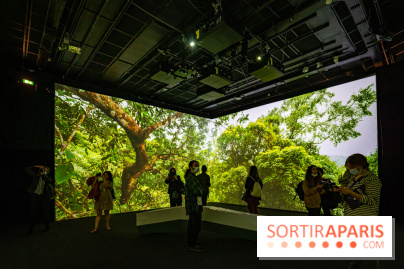 Photos : Odyssée sensorielle, l’expo immersive au Museum 
