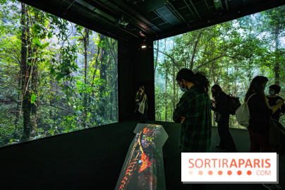Photos : Odyssée sensorielle, l’expo immersive au Museum 