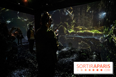Photos : Odyssée sensorielle, l’expo immersive au Museum 