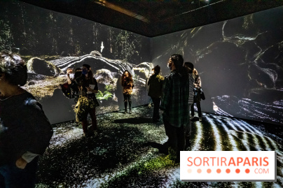Photos : Odyssée sensorielle, l’expo immersive au Museum 