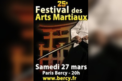Festival des Arts Martiaux, 25ème édition, Bercy, Sports, Paris