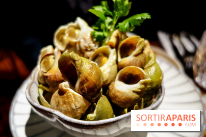 Le Petit Victor Hugo, nos photos