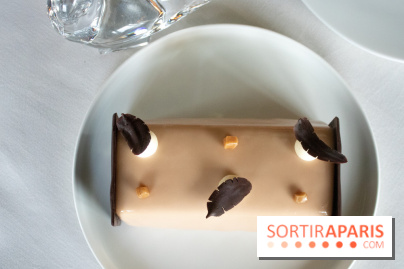 Bûches de Noël 2021 et Galette de la Tour d'Argent