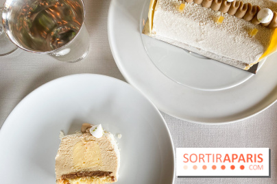 Bûches de Noël 2021 et Galette de la Tour d'Argent