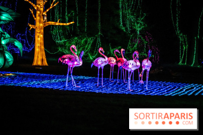 Thoiry Lumières Sauvages 2021-2022