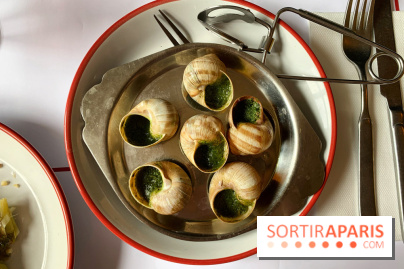 Bouillon République