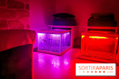 Un bar à sieste à Paris : offrez-vous un moment de détente avec ZZZen