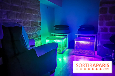 Un bar à sieste à Paris : offrez-vous un moment de détente avec ZZZen