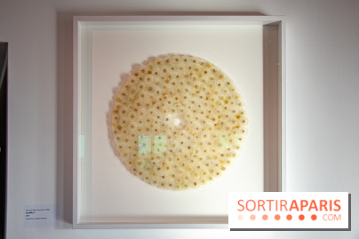 Le Musée Guimet propose une Carte blanche à Duy Anh Nhan Duc