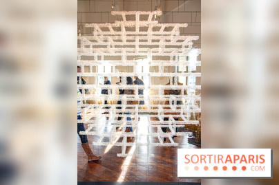 Le Musée Guimet propose une Carte blanche à Duy Anh Nhan Duc