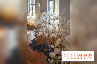 Le Musée Guimet propose une Carte blanche à Duy Anh Nhan Duc