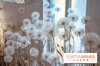 Le Musée Guimet propose une Carte blanche à Duy Anh Nhan Duc